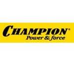 Ремонт мотобуров Champion